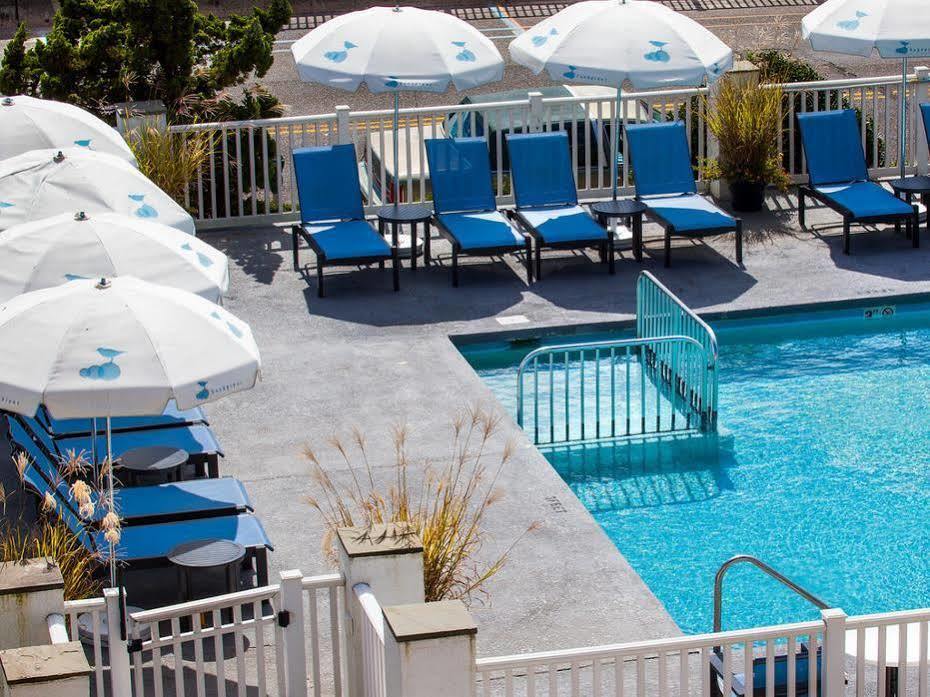Sandpiper Beach Club Cape May Ngoại thất bức ảnh